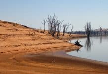 Population is the wrong target