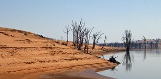 Population is the wrong target