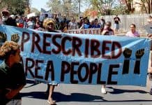 Assimilation and the Intervention: A Solidarity pamphlet