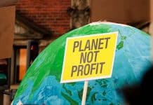 Why climate action means challenging capitalism