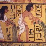 Agriculture and the first states