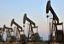 Capitalism vs the climate: Why we need system change