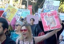 One Nation’s rise fuels far right’s attack on abortion rights