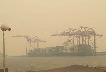 Workers and toxic smoke: ‘People’s health has got to come before the dollar’ says Sydney port worker
