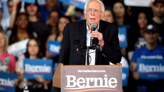 Bernie web