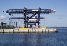 Shocking Hutchison Covid-19 cover-up puts profits before safety on the waterfront