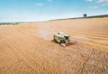 Marx, ecology and industrial agriculture