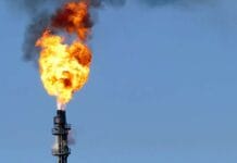 Labor’s unambitious new climate targets rest on offsets fraud