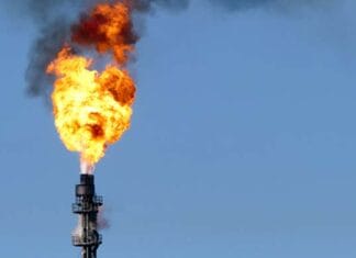 Labor’s unambitious new climate targets rest on offsets fraud