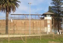 Urgent call for prison releases after COVID outbreaks in NSW