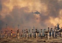 Capitalism and the climate crisis—Why it’s socialism or extinction