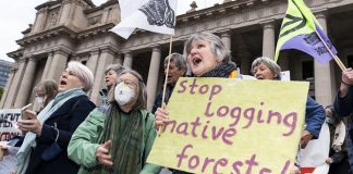 Labor criminalises forest protest despite union pushback