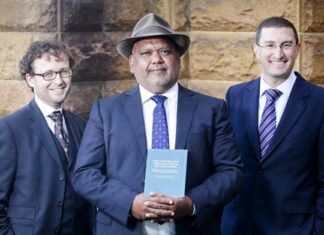 How the plan for a token advisory Voice was hatched