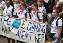 Safeguards deal still won’t deliver cuts to emissions