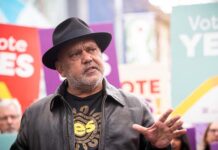 Voice’s appeal to the Liberals and big corporations was never going to win change