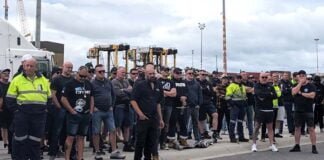 DP World workers strike against attack on rosters and pay