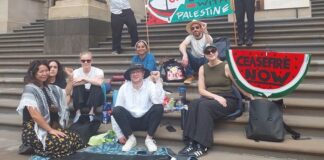 ‘Why we went on strike for Palestine’
