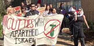 Much ado about paid NUS positions but not about Palestine