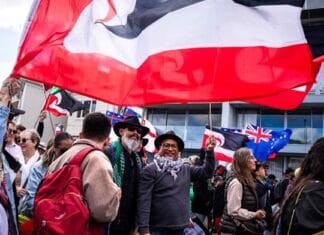 ‘They didn’t count on how strong we are’: Teanau Tuiono on the movement against the Treaty Principles bill