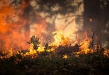 LA fires are an unnatural disaster