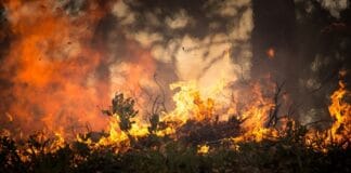 LA fires are an unnatural disaster