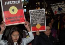 Albanese fails to act as deaths in custody and imprisonment surge