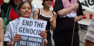 Albanese still arming Israel as it keeps killing despite ‘ceasefire’