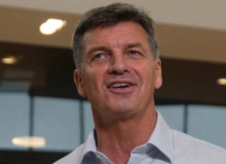 Liberals’ new leader stuck with same problems as One Nation gains at their expense