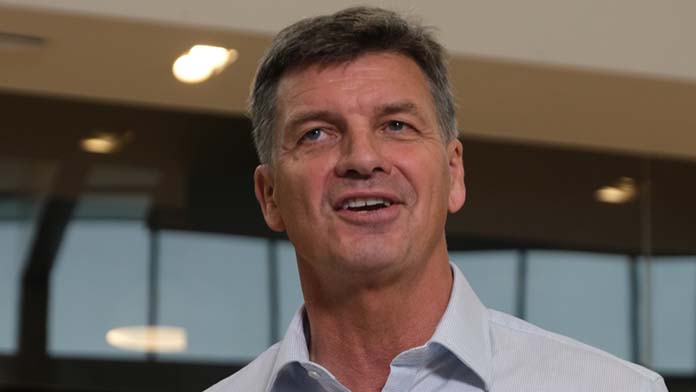 Liberals’ new leader stuck with same problems as One Nation gains at their expense