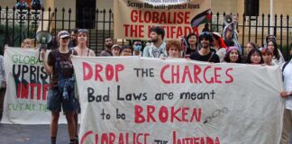 Defiance needed to new laws meant to silence Palestine solidarity