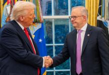 Rise up to punish Albanese for backing Trump’s murderous fiasco in Iran