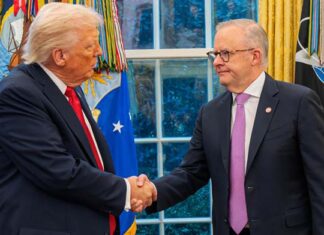 Rise up to punish Albanese for backing Trump’s murderous fiasco in Iran