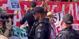 Twenty arrested in Brisbane as activists defy ban on Palestine protest slogans