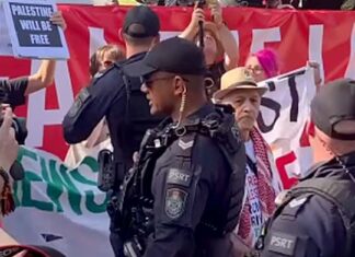 Twenty arrested in Brisbane as activists defy ban on Palestine protest slogans