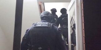 Cops aim to intimidate with wave of Herzog protest arrests