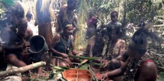 West Papuans speak out against government plan for massive destruction of traditional lands