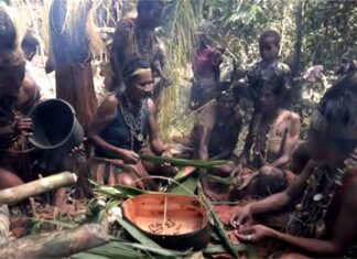 West Papuans speak out against government plan for massive destruction of traditional lands