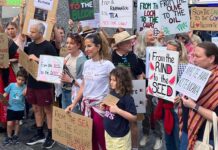 More arrests in Brisbane as protests defy Palestine slogan ban