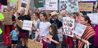 More arrests in Brisbane as protests defy Palestine slogan ban
