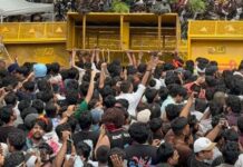 India’s cockroach movement celebrates win against Modi