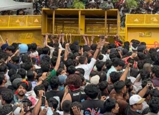 India’s cockroach movement celebrates win against Modi